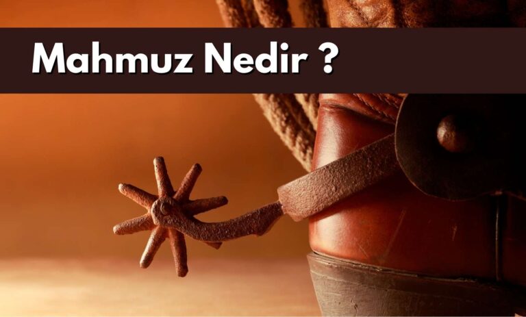 Mahmuz Nedir ?